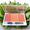 Amuse - Sakura Breeze Blush Trio